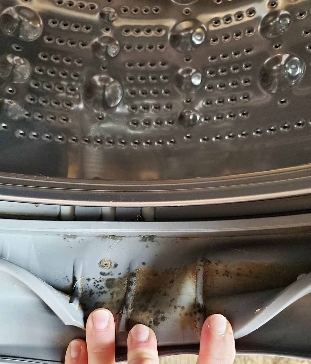 How To Clean Your Front Load Washing Machine - House Becomes Home